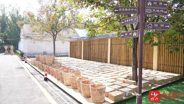 能——一个村对一个产业的多种解读pg模拟器E视野丨“编”出最大可(图2)