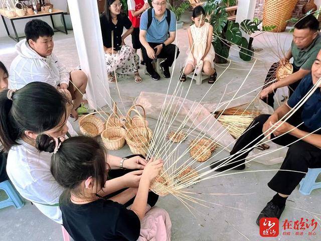 能——一个村对一个产业的多种解读pg模拟器E视野丨“编”出最大可(图5)