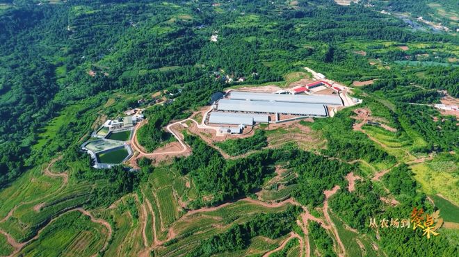 正大全产业链溯源之旅圆满收官pg电子试玩